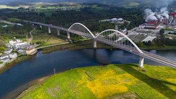 Asturias busca consolidarse como un nodo logístico relevante dentro de Europa, actuando como puerta de entrada para productos mexicanos hacia el mercado comunitario (Foto:Shutterstock)