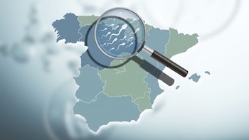 La razón por la que el norte de España lidera en calidad de semen, según un estudio: “Los hábitos cotidianos eran muy similares en todos los puntos geográficos”