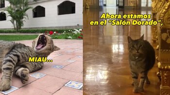 El video de TikTok invita