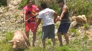 Algunas personas llevaron rápidamente sogas