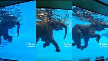 Organizaciones internacionales han alertado en