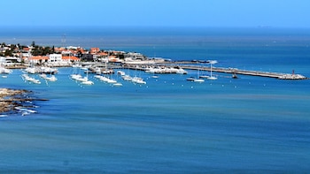 La diversidad gastronómica y las