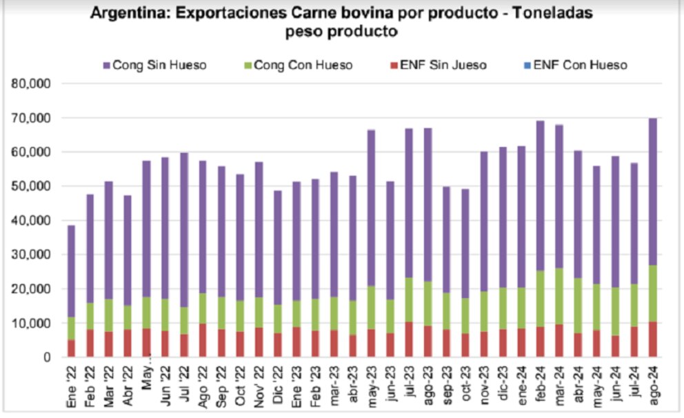 Aumento en las exportaciones de carne bovina: Argentina crece en el mercado internacional