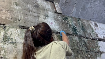 Científicos del Institut Pasteur estudian