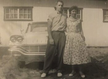 Colección de autos abandonados