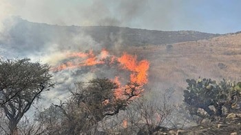Vecinos y colectivos de Tepotzotlán