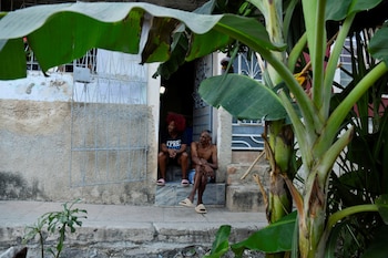 Carmen Guzmán y su esposo José Fleites conversan en la puerta de su casa, frente a plataneros que crecen en una calle de La Habana, Cuba, el 12 de febrero de 2025. REUTERS/Norlys Pérez