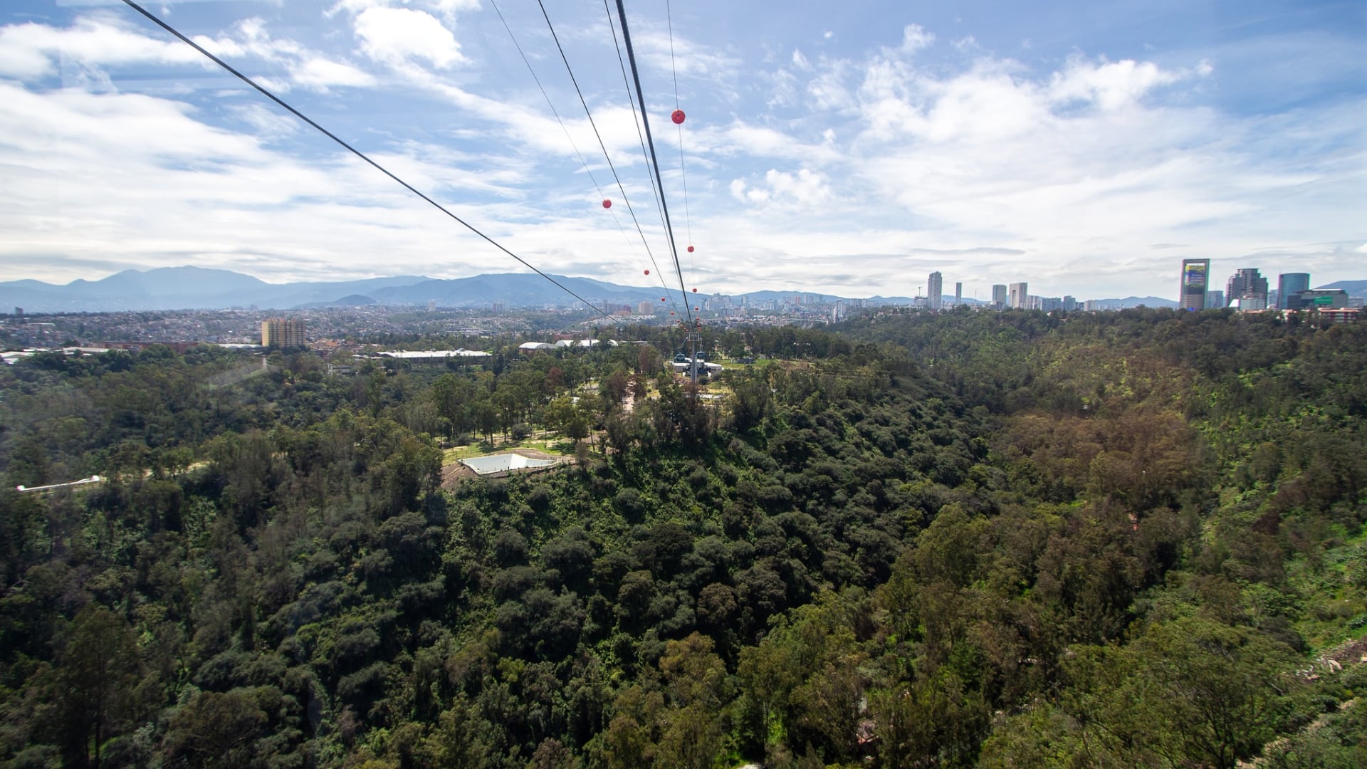 Es necesario notificar a las autoridades del bosque (FB/ChapultepecCDMX)