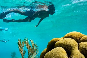 Boca Catalina: conocida como una