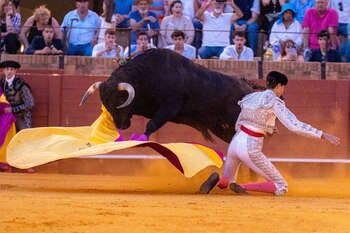 Imagen DK653PVGJREXFCRBWDFPJKSSUI