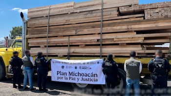 Así detuvieron a 14 talamontes