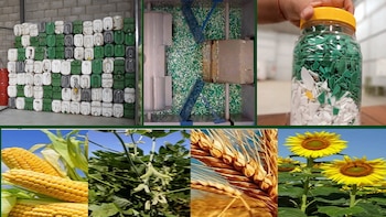 “Juego Limpio”: Argentina es uno de los líderes en “el Mundial” de la gestión ambiental en el agro