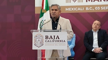 Baja California Seguridad Laureano Carrillo revisión anexos