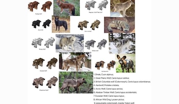 La lista con las nuevas