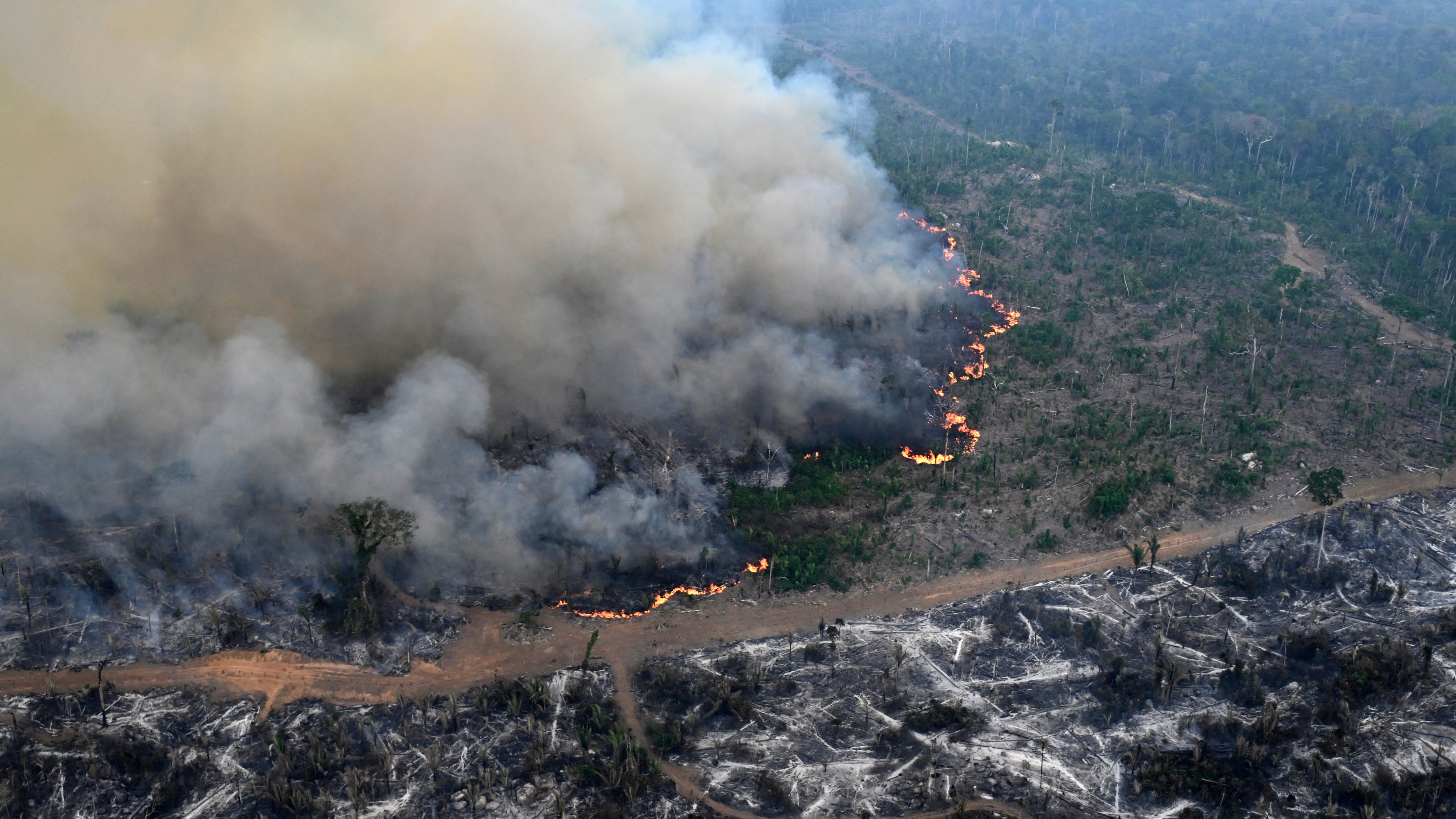 Los incendios provocados por actividades humanas emiten cerca de 1470 millones de toneladas métricas de dióxido de carbono anuales en la Amazonía. (Photo by EVARISTO SA / AFP)