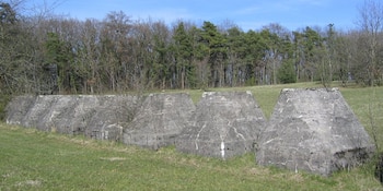 El sendero ofrece un recorrido