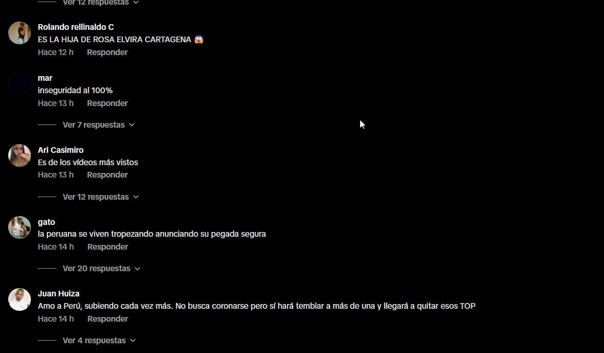 Redes sociales enloquecen al notar la similitud entre Flavia López y Rosa Elvira Cartagena. Infobae Perú / Captura: TikTok