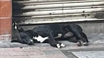 ‘El Negro’ esperaba a su