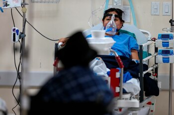 El fármaco ivermectina solo se