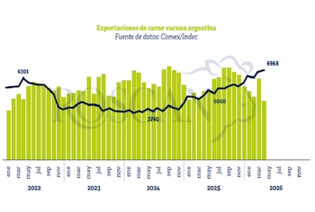 Exportación de carne vacuna argentina. Serie histórica.