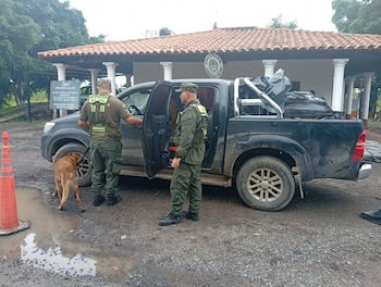 Personal del Escuadrón 16 "Clorinda" incautó más de 10 kilos de marihuana durante un control de ruta (Fuente: Noticias Formosa)