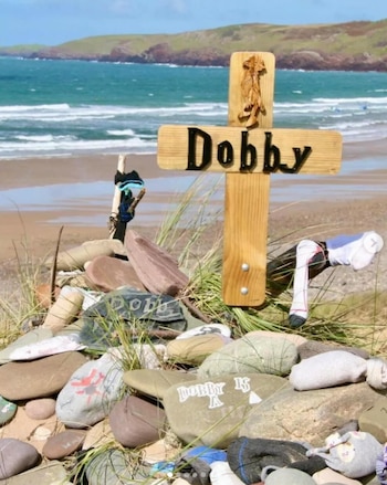 Fotografía de la tumba de Dobby en una playa de Gales.