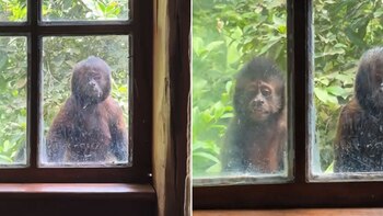 La grabación fue realizada en