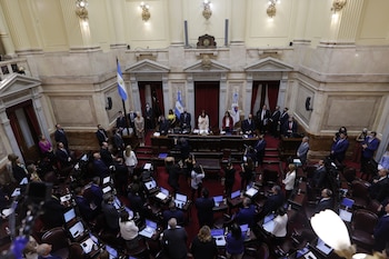 El Senado aún no debatió