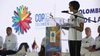 Esta será la agenda de