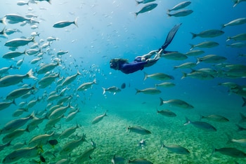 Las aguas de Santa María