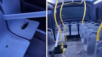 El artefacto explosivo colocado por