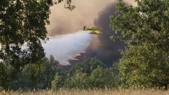 Última hora de los incendios en España, en directo | Continúa el regreso de vecinos a sus casas en Madrid y Ávila mientras persisten focos activos en León, Zamora y Castellón
