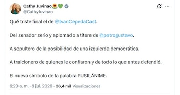 - crédito @CathyJuvinao/X