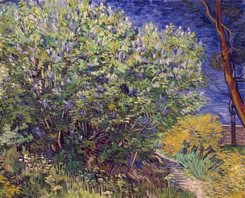 "Las lilas" de Vincent van