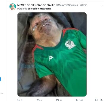 Estos son los mejores memes