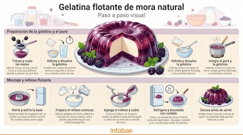 Infografía visual que ilustra el proceso de preparación de una gelatina flotante de mora natural. Muestra ingredientes, utensilios y el postre terminado.