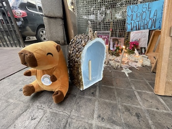 Crimen de Agostina Vega en Córdoba