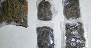 Los supuestos integrantes de los