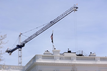 Imagen DLAUNS6XTRAG7O42JN5OGICAMM