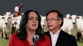 Gustavo Petro afirmó que la ganadería en Colombia participa en lavado de activos y María Fernanda Cabal le respóndió: “No sea atrevido”