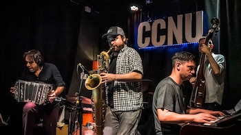 La música como lenguaje universal: