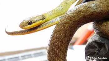 Imagen DLBKGQYZ3NEO3BIW2DP3IU4S3I