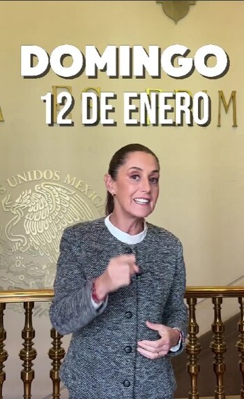 Crédito: X/@Claudiashein