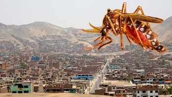 Dengue