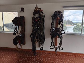 En el museo, los Escobar