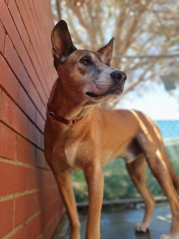 Luego de más de 900