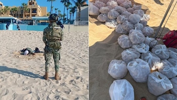 Marina y Profepa aseguran 10 mil huevos de tortuga golfina en Los Cabos, BCS. (Foto: Profepa)