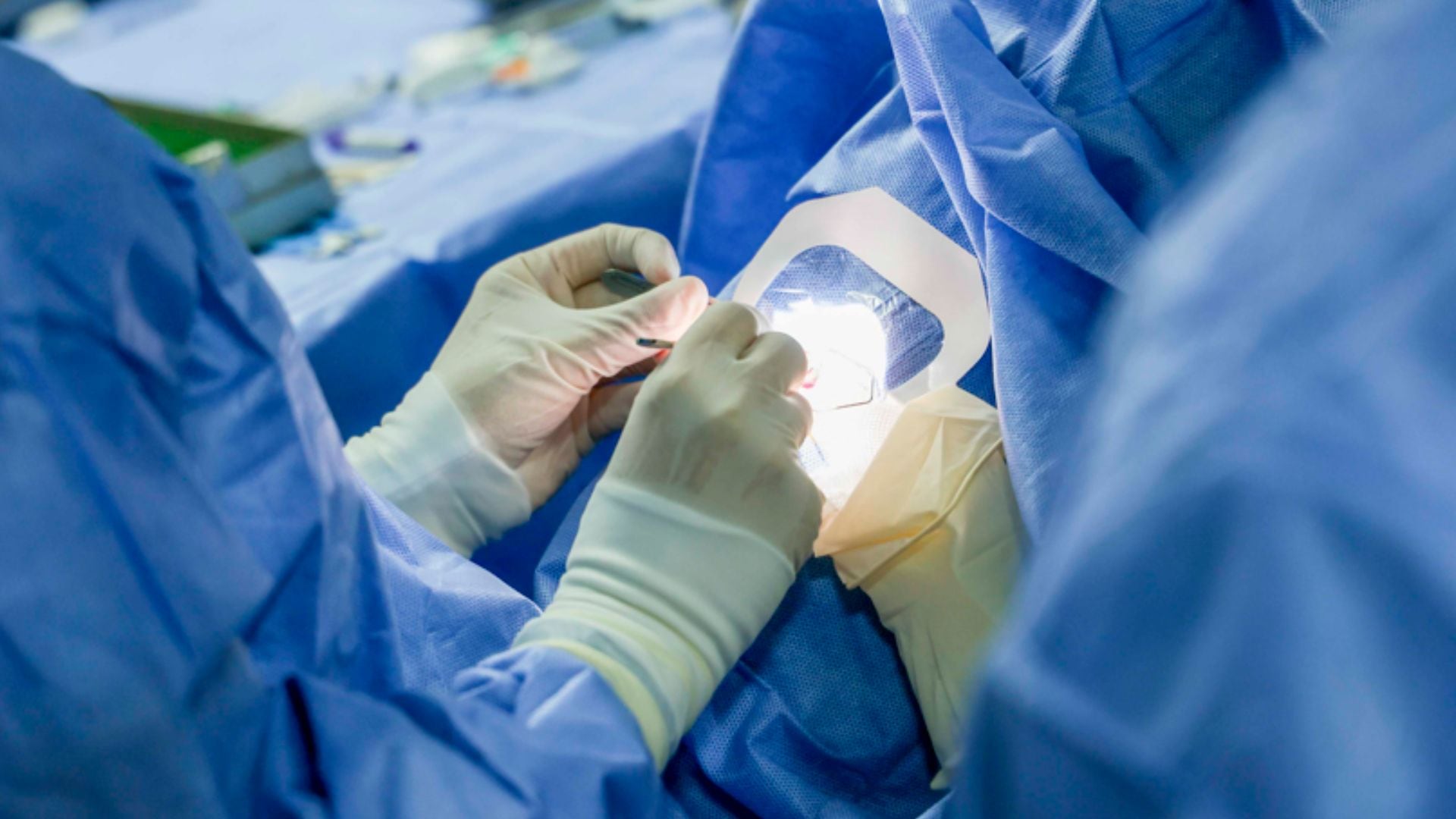 Más de dos mil trasplantes provinieron de donantes fallecidos mientras que la donación en vida siguió siendo clave en casos específicos