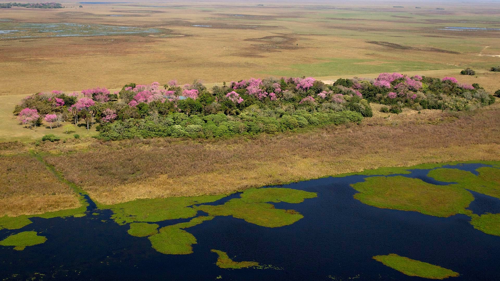Parque Nacional Iberá, en la provincia de Corrientes (Juan Ramón Díaz Colodraro)