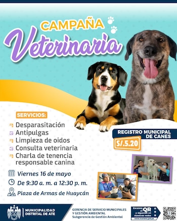 Los asistentes deberán ir temprano